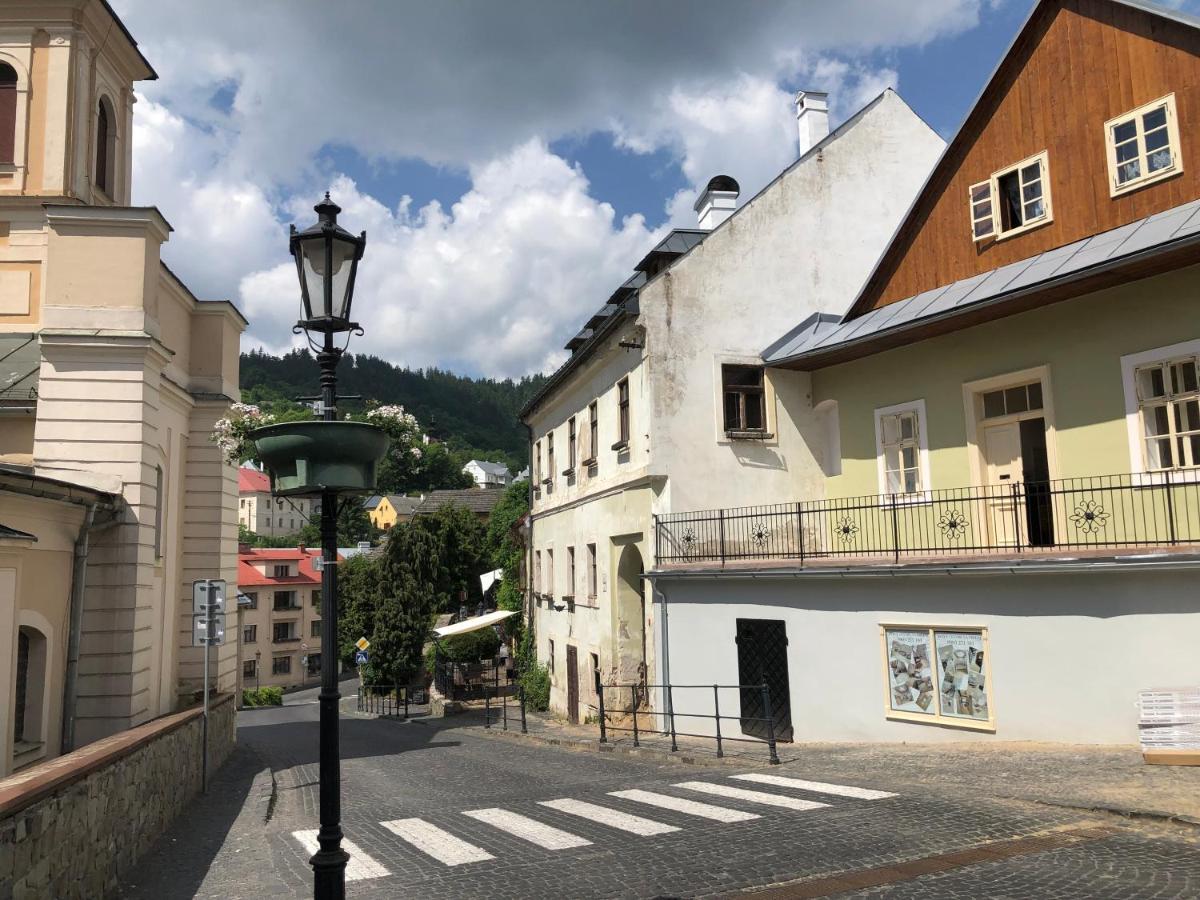 Apartman Vila Rosenberg Banská Štiavnica Dış mekan fotoğraf